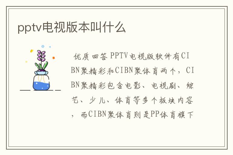 pptv电视版本叫什么