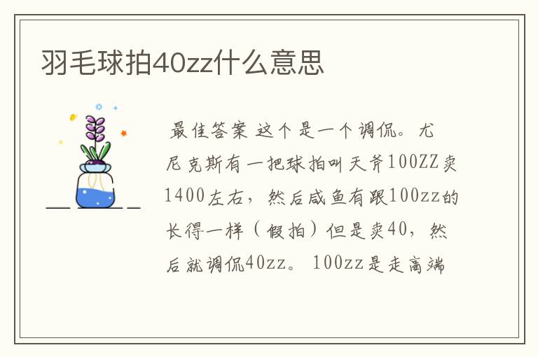 羽毛球拍40zz什么意思