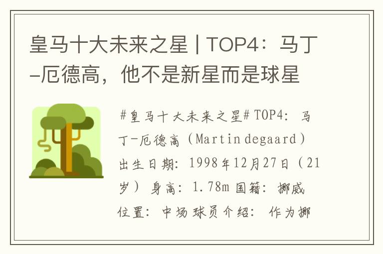 皇马十大未来之星 | TOP4：马丁-厄德高，他不是新星而是球星