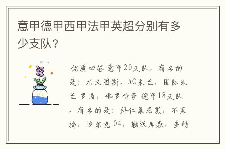 意甲德甲西甲法甲英超分别有多少支队?