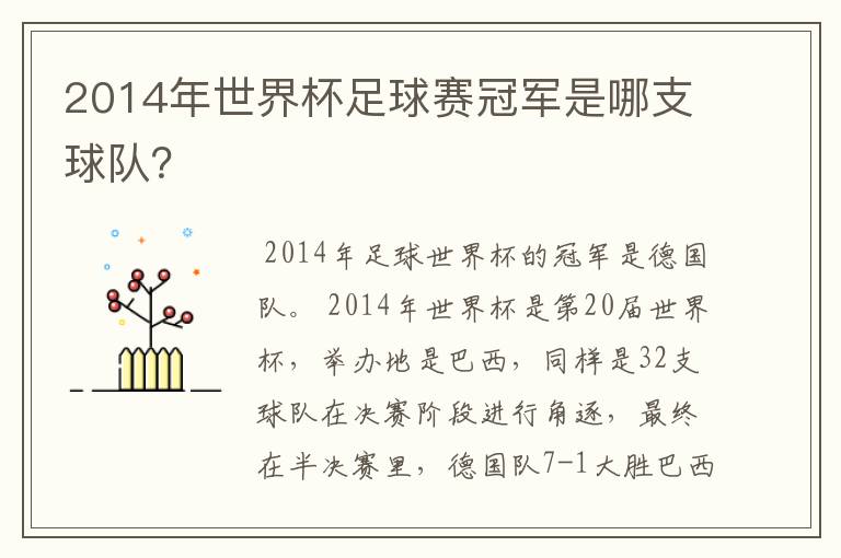 2014年世界杯足球赛冠军是哪支球队？