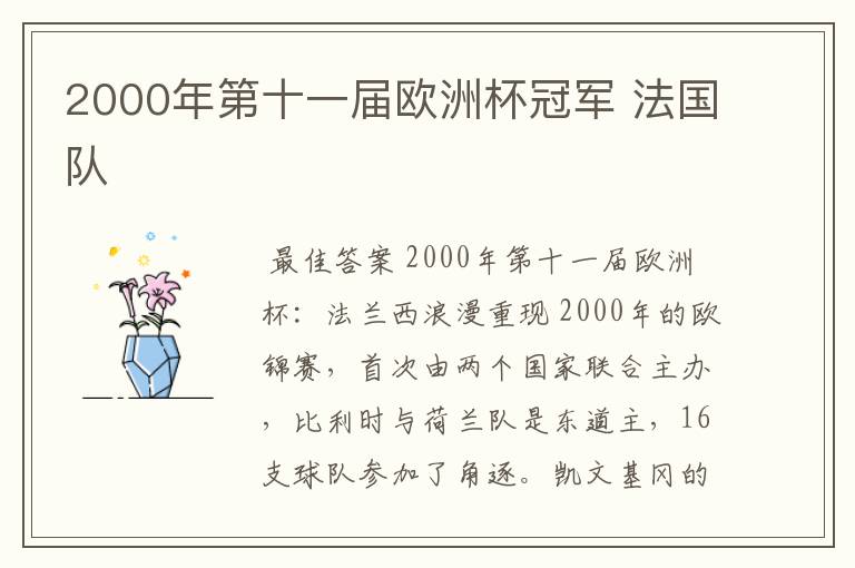 2000年第十一届欧洲杯冠军 法国队