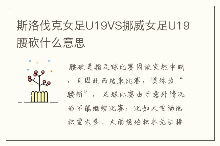 斯洛伐克女足U19VS挪威女足U19腰砍什么意思