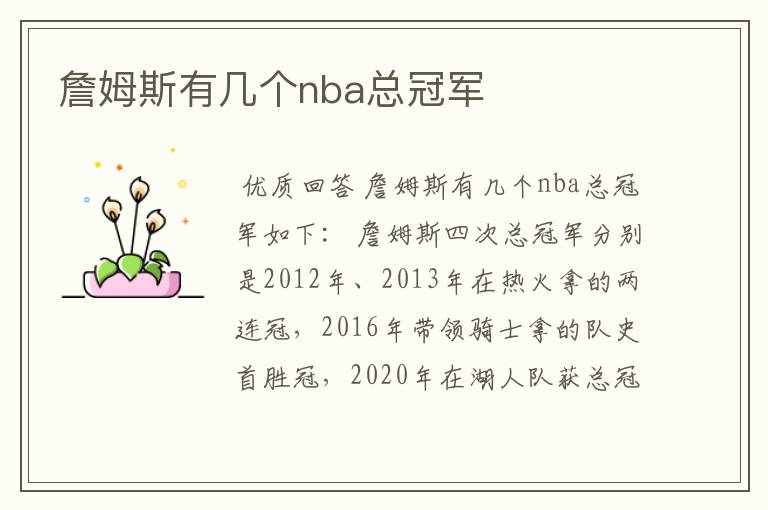 詹姆斯有几个nba总冠军