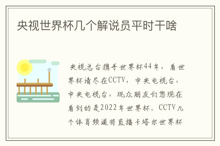 央视世界杯几个解说员平时干啥