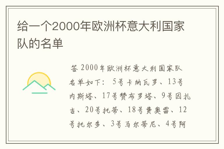 给一个2000年欧洲杯意大利国家队的名单