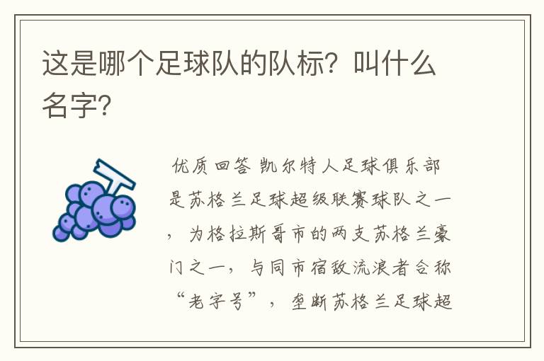 这是哪个足球队的队标？叫什么名字？