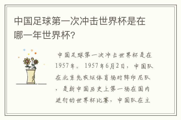 中国足球第一次冲击世界杯是在哪一年世界杯?