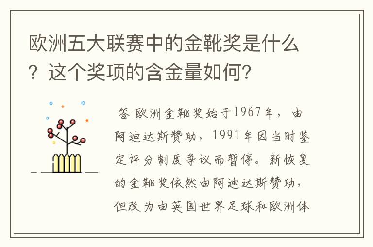 欧洲五大联赛中的金靴奖是什么？这个奖项的含金量如何？