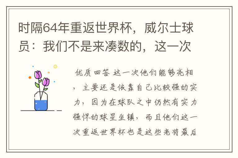 时隔64年重返世界杯，威尔士球员：我们不是来凑数的，这一次为何能亮相？