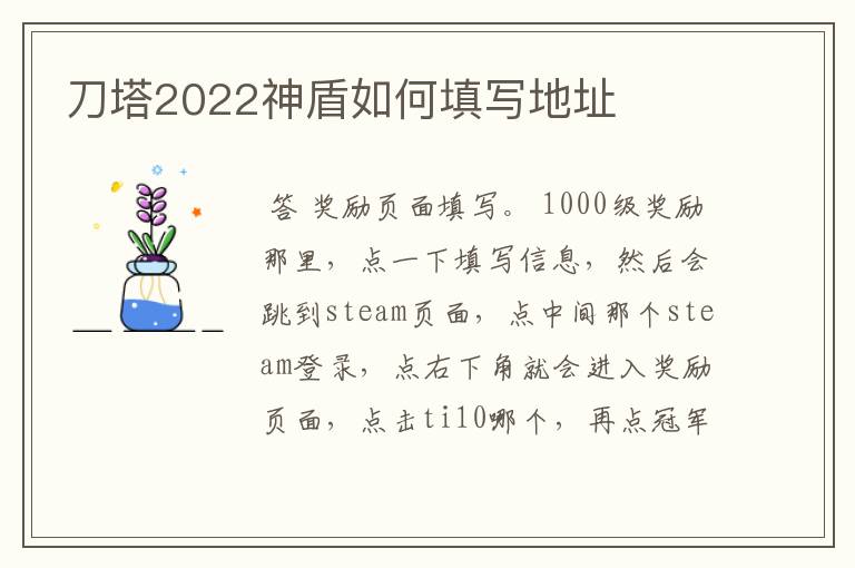 刀塔2022神盾如何填写地址