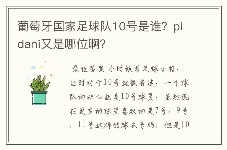 葡萄牙国家足球队10号是谁？pidani又是哪位啊？