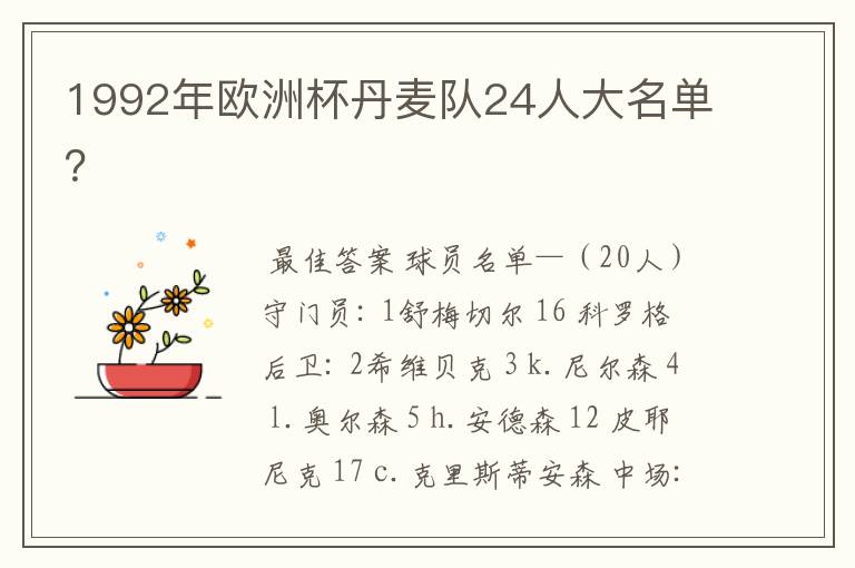 1992年欧洲杯丹麦队24人大名单？