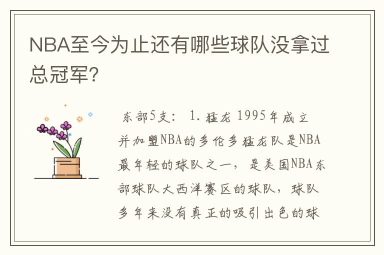 NBA至今为止还有哪些球队没拿过总冠军？