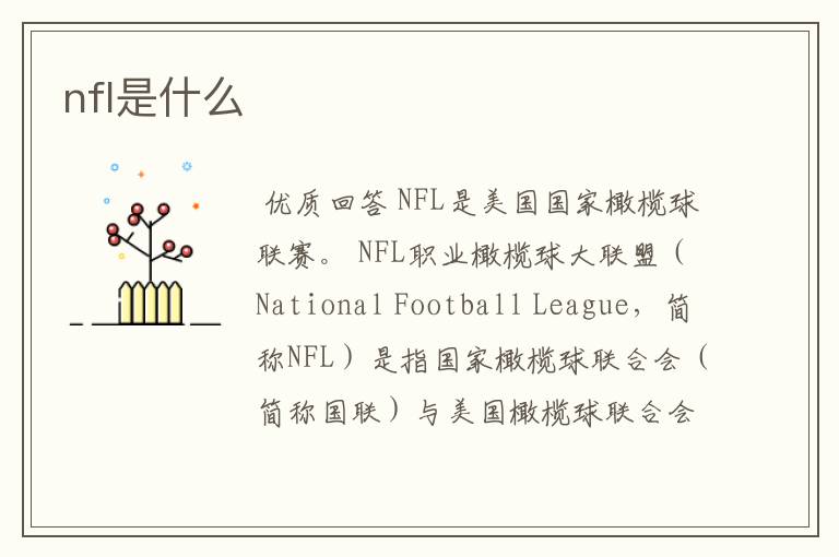 nfl是什么