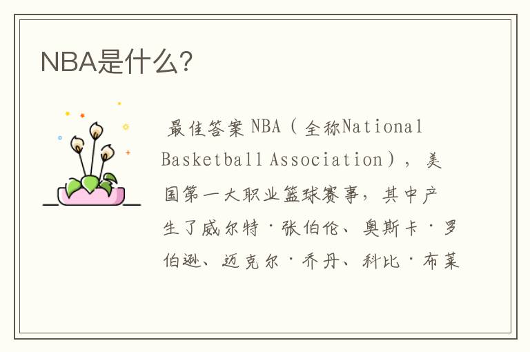 NBA是什么？