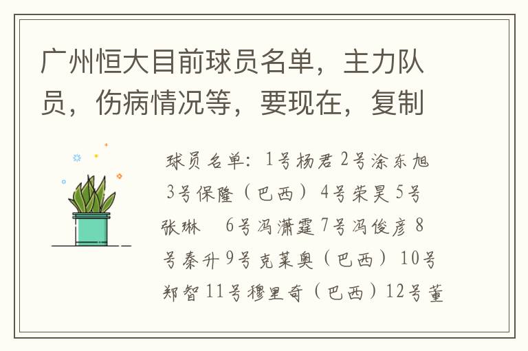 广州恒大目前球员名单，主力队员，伤病情况等，要现在，复制的别来！