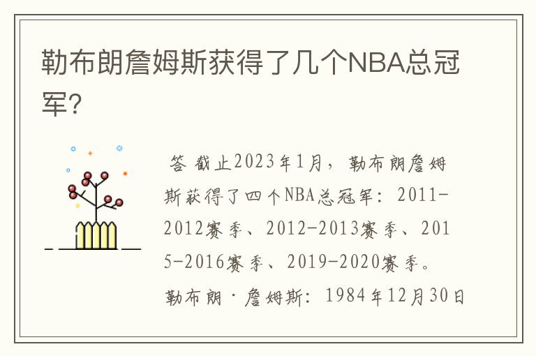 勒布朗詹姆斯获得了几个NBA总冠军？