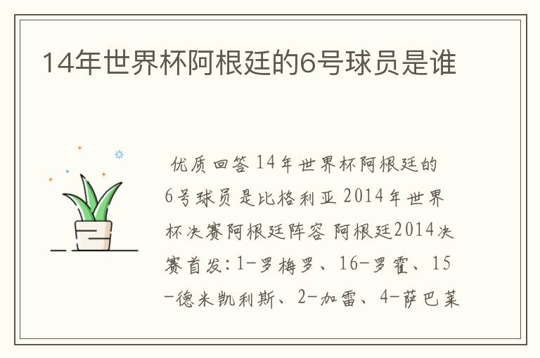 14年世界杯阿根廷的6号球员是谁