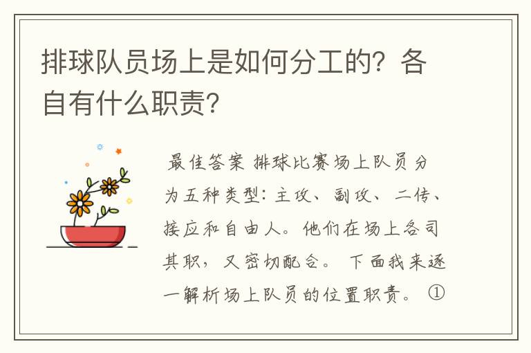 排球队员场上是如何分工的？各自有什么职责？