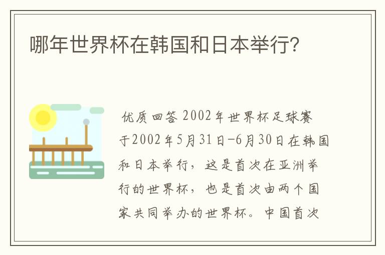 哪年世界杯在韩国和日本举行？