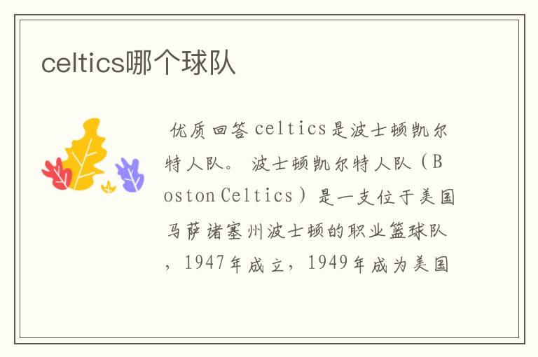 celtics哪个球队