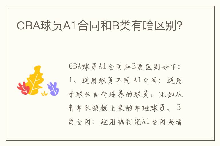 CBA球员A1合同和B类有啥区别？