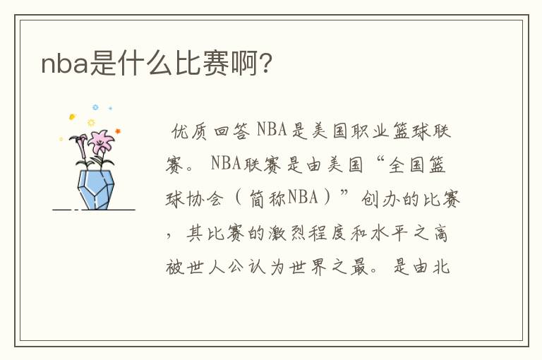 nba是什么比赛啊?