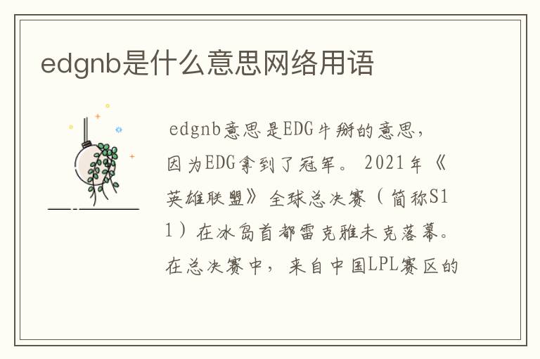 edgnb是什么意思网络用语