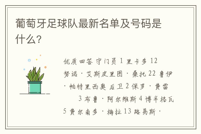 葡萄牙足球队最新名单及号码是什么?