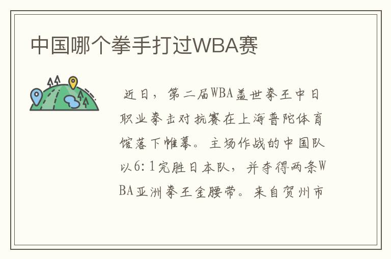 中国哪个拳手打过WBA赛