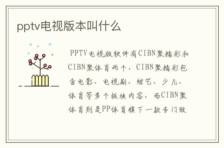 pptv电视版本叫什么