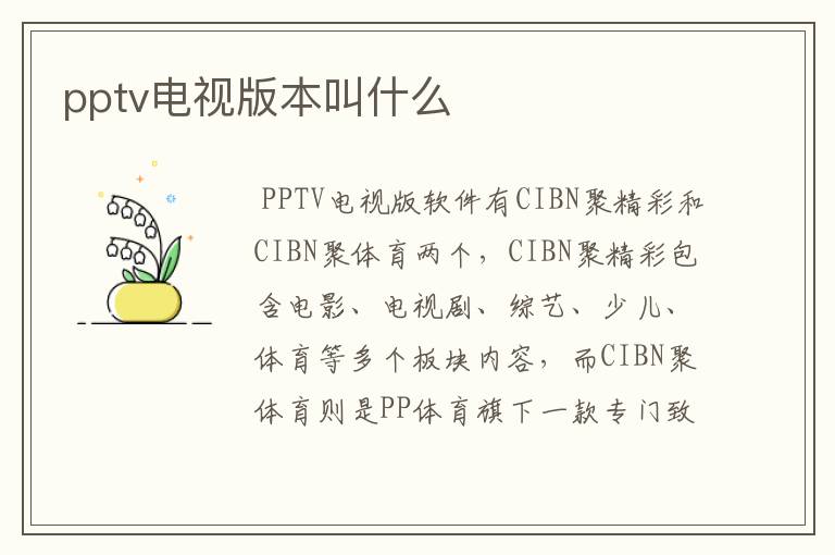 pptv电视版本叫什么