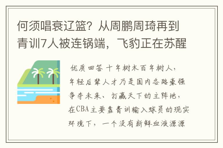 何须唱衰辽篮？从周鹏周琦再到青训7人被连锅端，飞豹正在苏醒