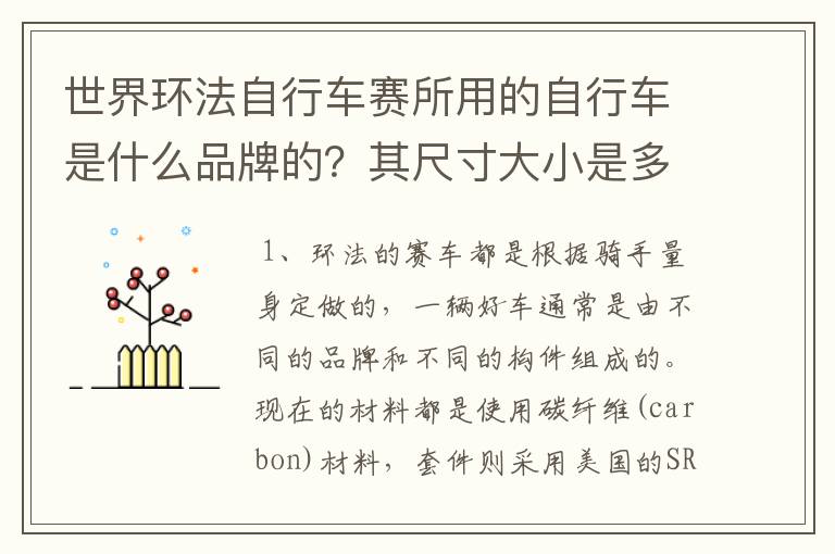 世界环法自行车赛所用的自行车是什么品牌的？其尺寸大小是多少？