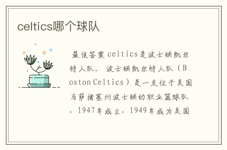 celtics哪个球队