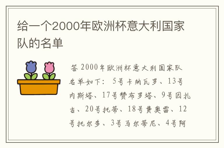 给一个2000年欧洲杯意大利国家队的名单