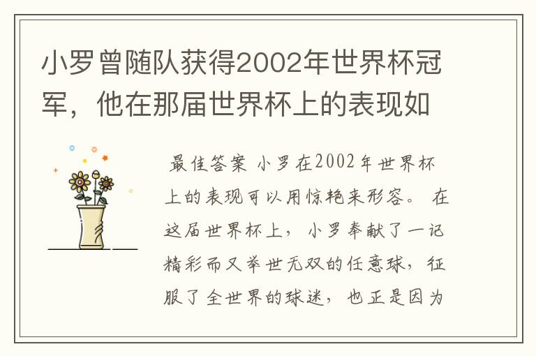 小罗曾随队获得2002年世界杯冠军，他在那届世界杯上的表现如何？