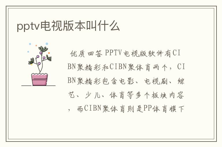 pptv电视版本叫什么