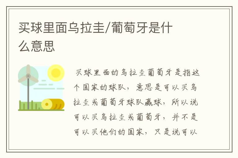 买球里面乌拉圭/葡萄牙是什么意思