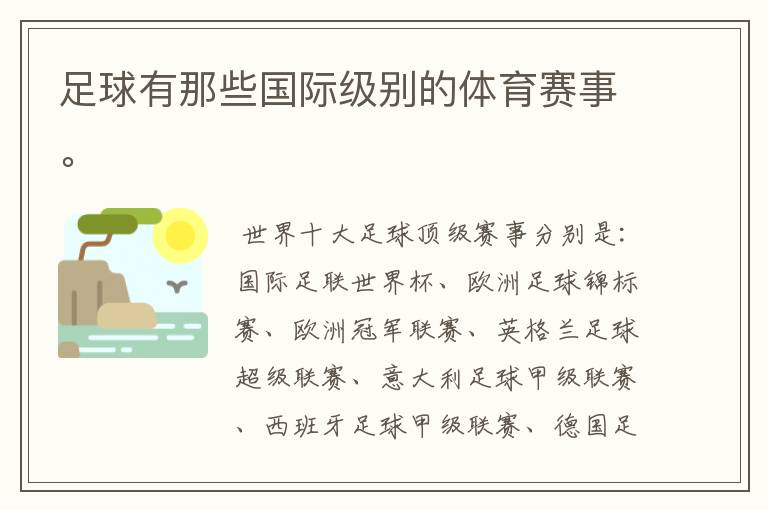 足球有那些国际级别的体育赛事。