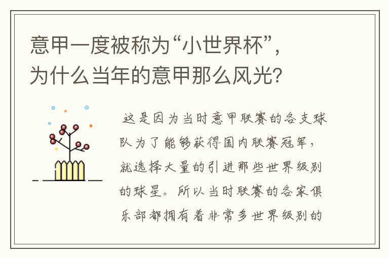 意甲一度被称为“小世界杯”，为什么当年的意甲那么风光？