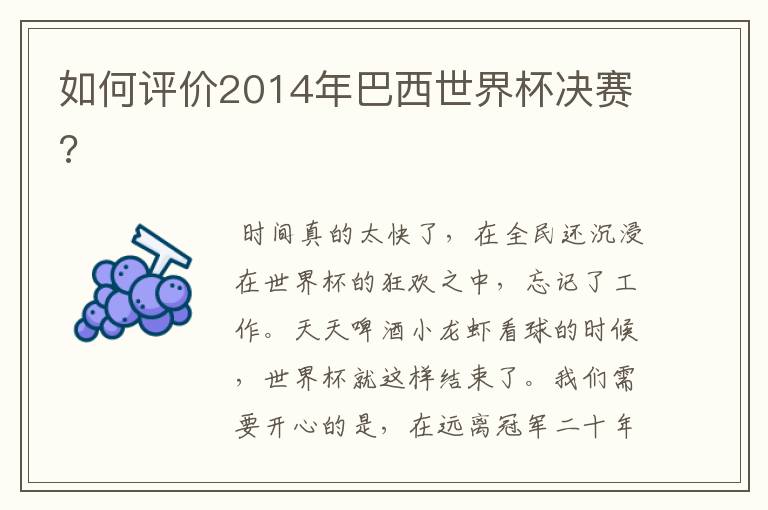 如何评价2014年巴西世界杯决赛?