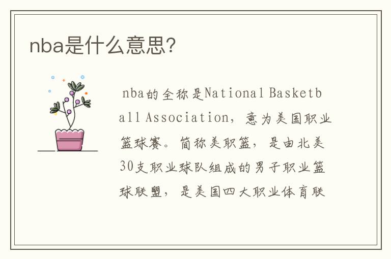 nba是什么意思？