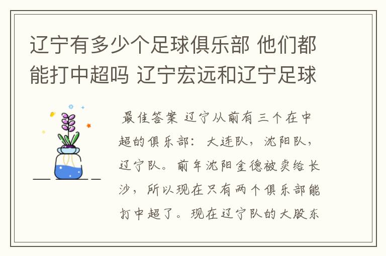 辽宁有多少个足球俱乐部 他们都能打中超吗 辽宁宏远和辽宁足球俱乐部是什么啊