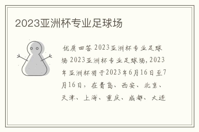 2023亚洲杯专业足球场