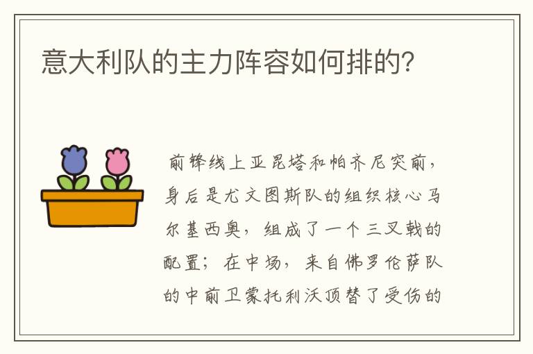 意大利队的主力阵容如何排的？