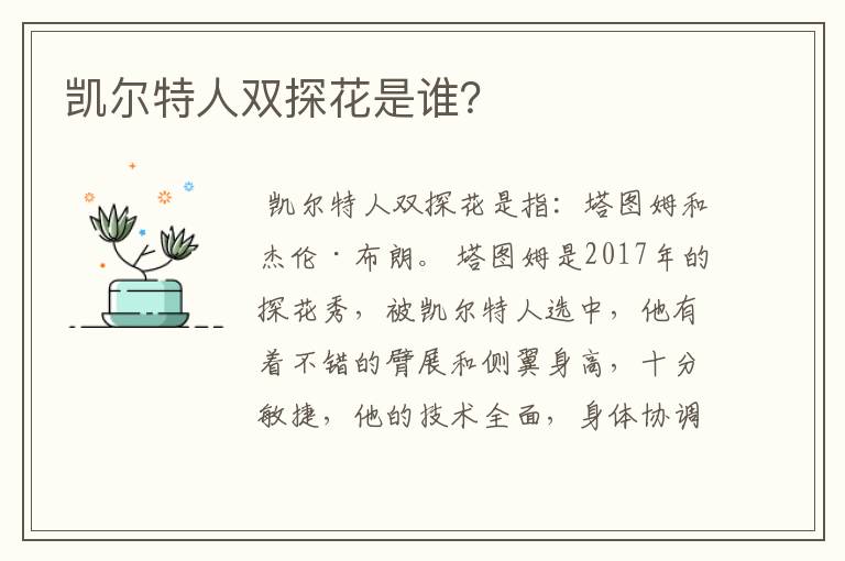 凯尔特人双探花是谁？