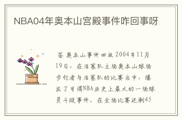 NBA04年奥本山宫殿事件咋回事呀