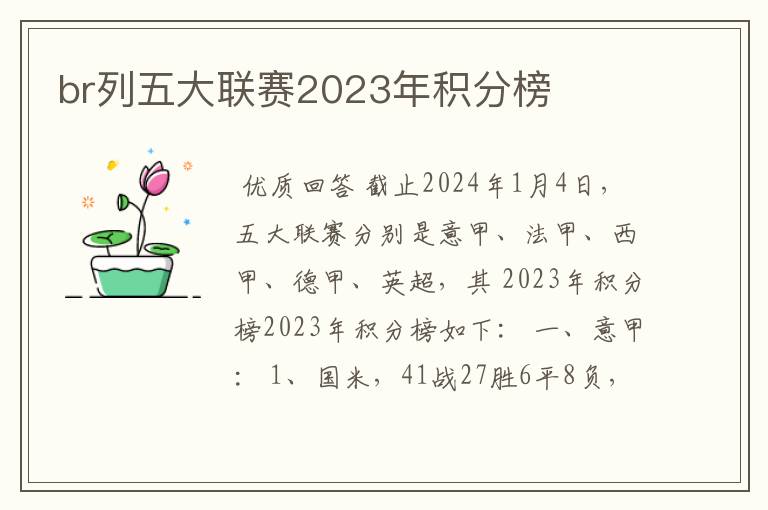 br列五大联赛2023年积分榜